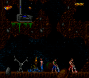 Blackthorne ( USA) 007