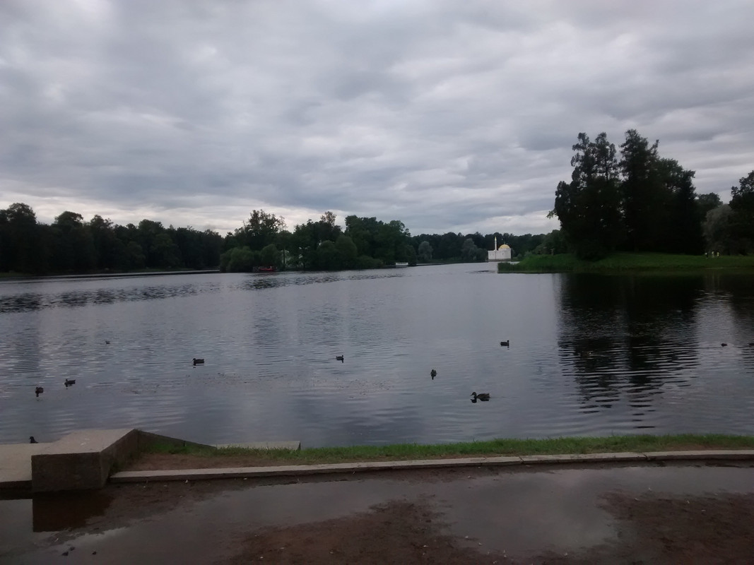 San Petersburgo 03.08.2016 - Riga-Tallin-San Petersburgo-Moscu-Riga en julio/agosto 2016 (2)