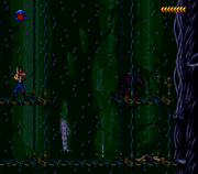 Blackthorne ( USA) 010