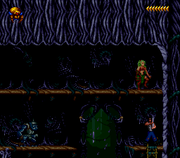 Blackthorne ( USA) 011