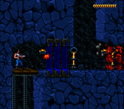 Blackthorne ( USA) 019