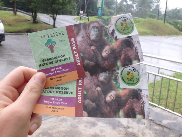 MALASIA: Con ritmo propio - Blogs de Malasia - 28/10  El día orangután (1)