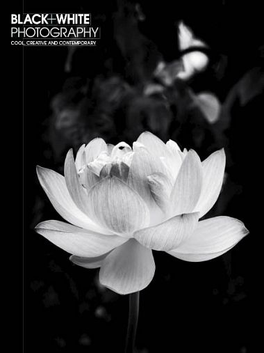 Image DU Black White Photography July 2018