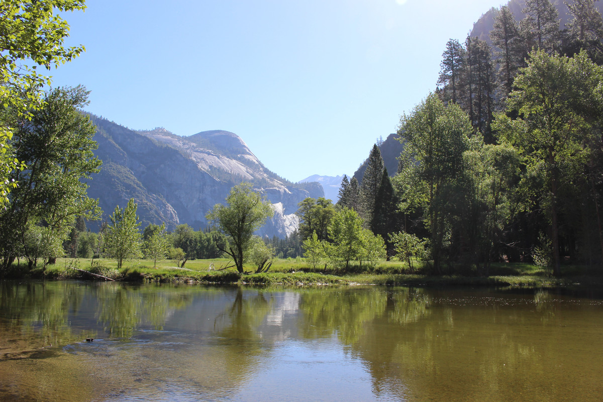 Costa Oeste + Polinesia Francesa - Blogs de USA - Dia 4. Yosemite - Mammoth Lake (6)