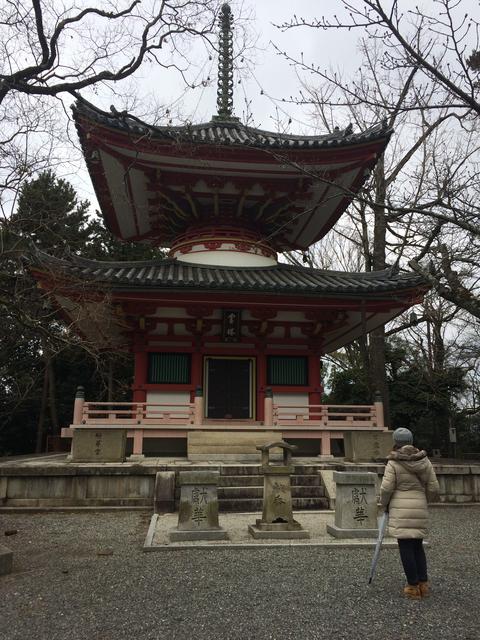 Japón en Invierno. Enero 2017 - Blogs de Japon - Templos del este de Kioto. Higashiyama (23/01/2017) (10)