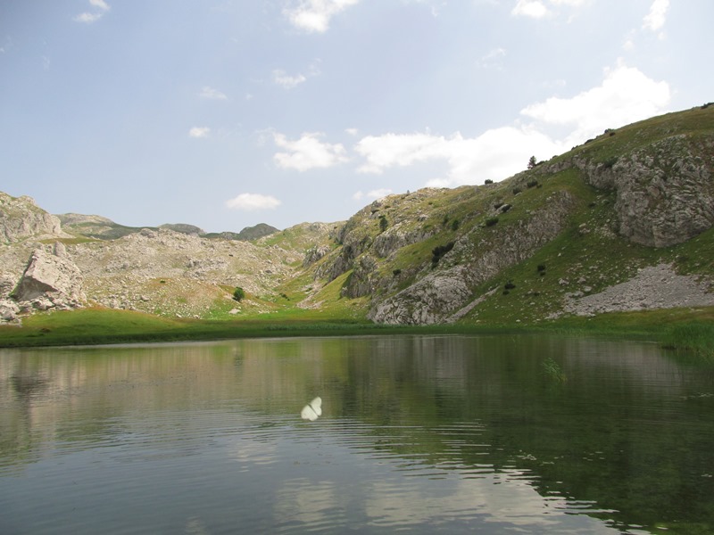 Slika