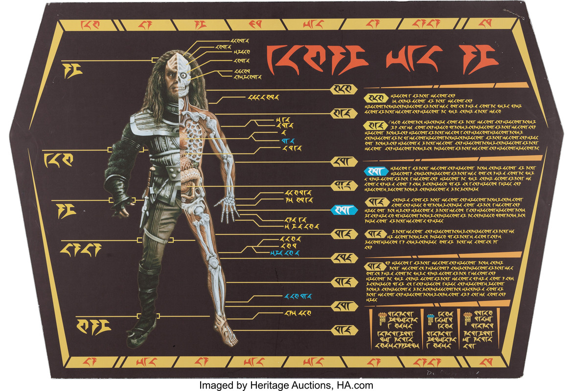 klingon_anatomy.jpg