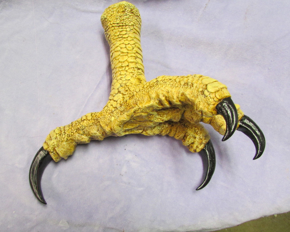 real dinosaur claw