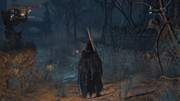 Bloodborne™_20170426221012