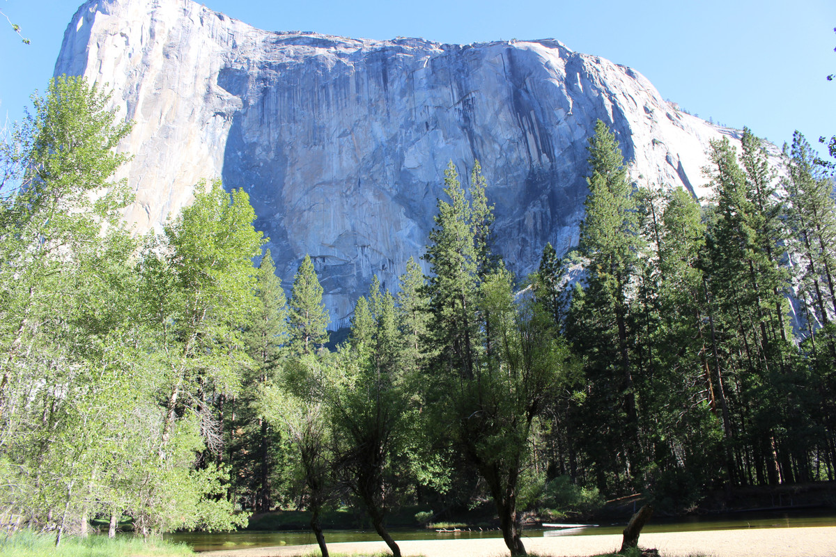 Costa Oeste + Polinesia Francesa - Blogs de USA - Dia 4. Yosemite - Mammoth Lake (2)