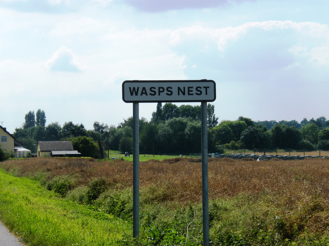 Wasps_Nest.jpg
