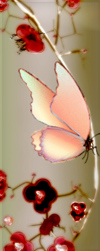 Butterfly_1.png