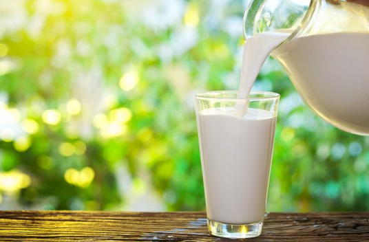 susu kambing untuk ibu hamil dan menyusui susu kambing untuk ibu hamil dan menyusui