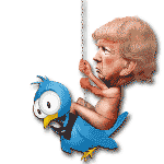 Trump_Ball_Swing_Bird150b.gif