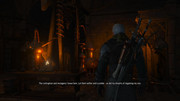 witcher3_2018-03-23_23-05-47-65