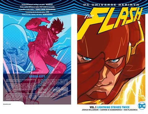 The Flash v01 - Lightning Strikes Twice (2017)