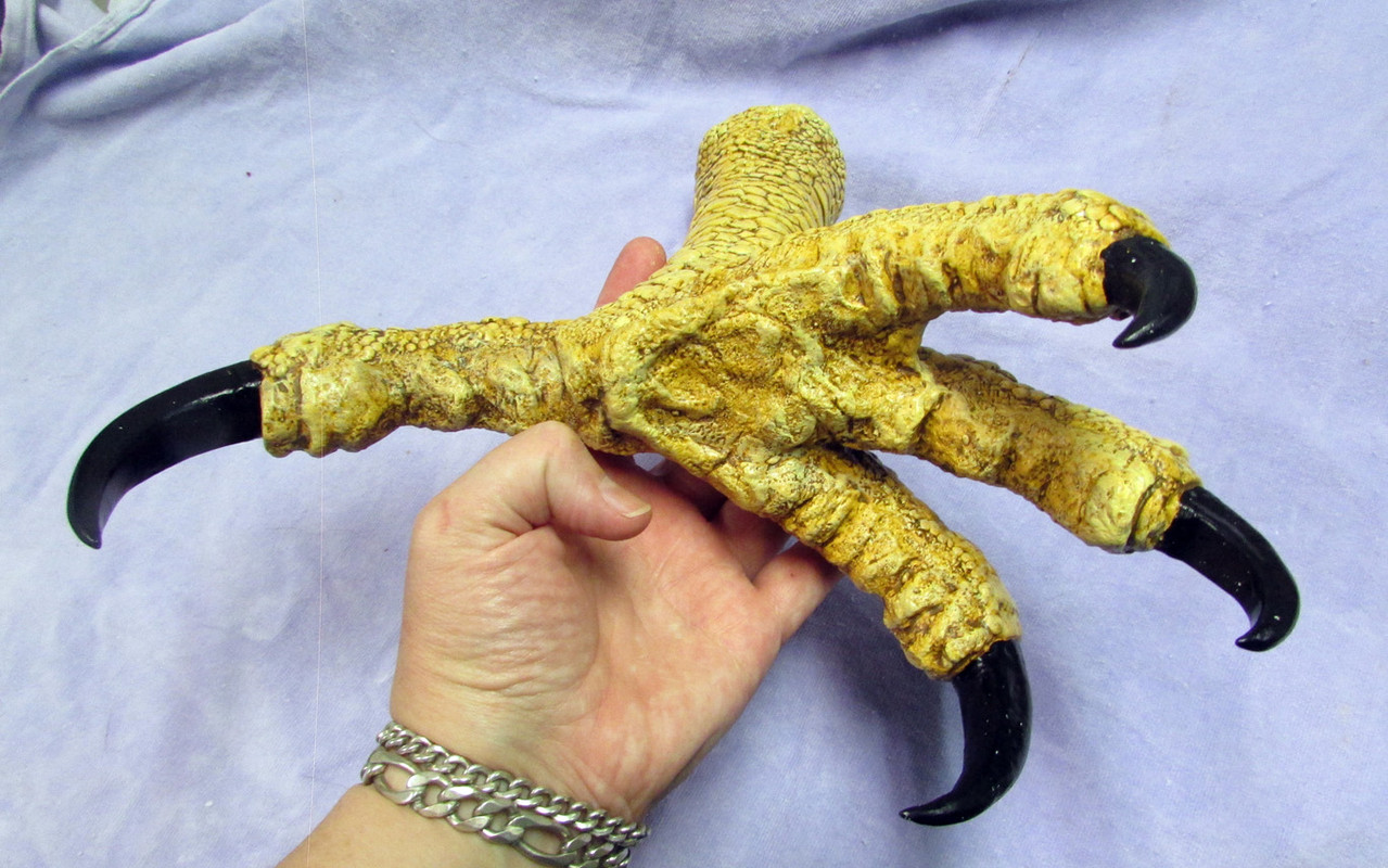 raptor dinosaur feet