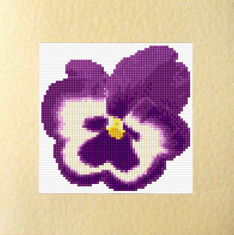 Heureuse retraite pots de fleurs rose violet Cross Stitch Carte Kit 5.5"x5.5"