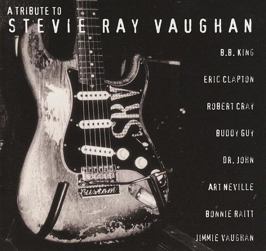 VA - A Tribute to Stevie Ray Vaughan (1996) mp3 320 kbps-CBR