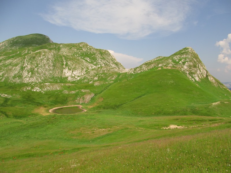 Slika