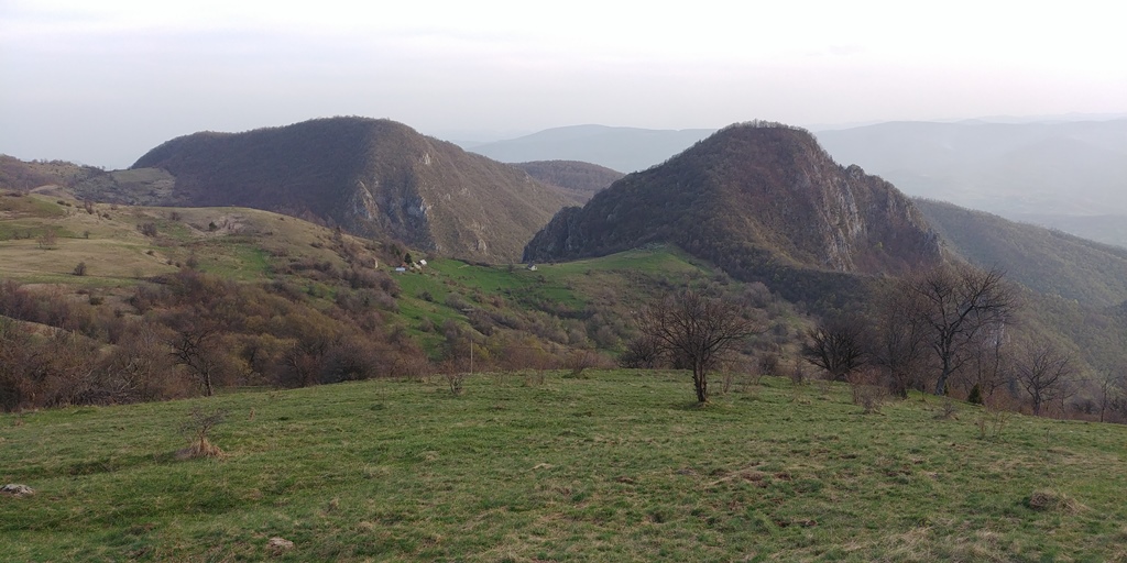 Slika