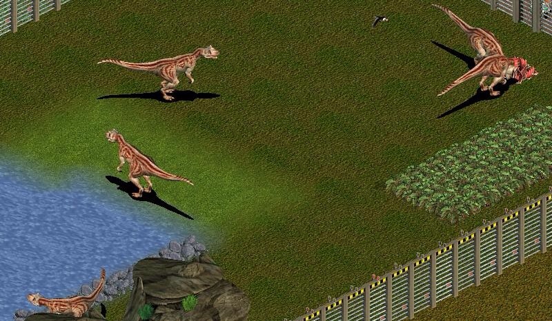 Zoo Tycoon Dino Digs Valley of the Dinosaurs Part 1 