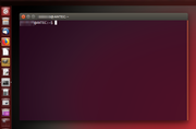 terminal.png