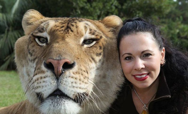 liger3_zps8b4b045b.jpg