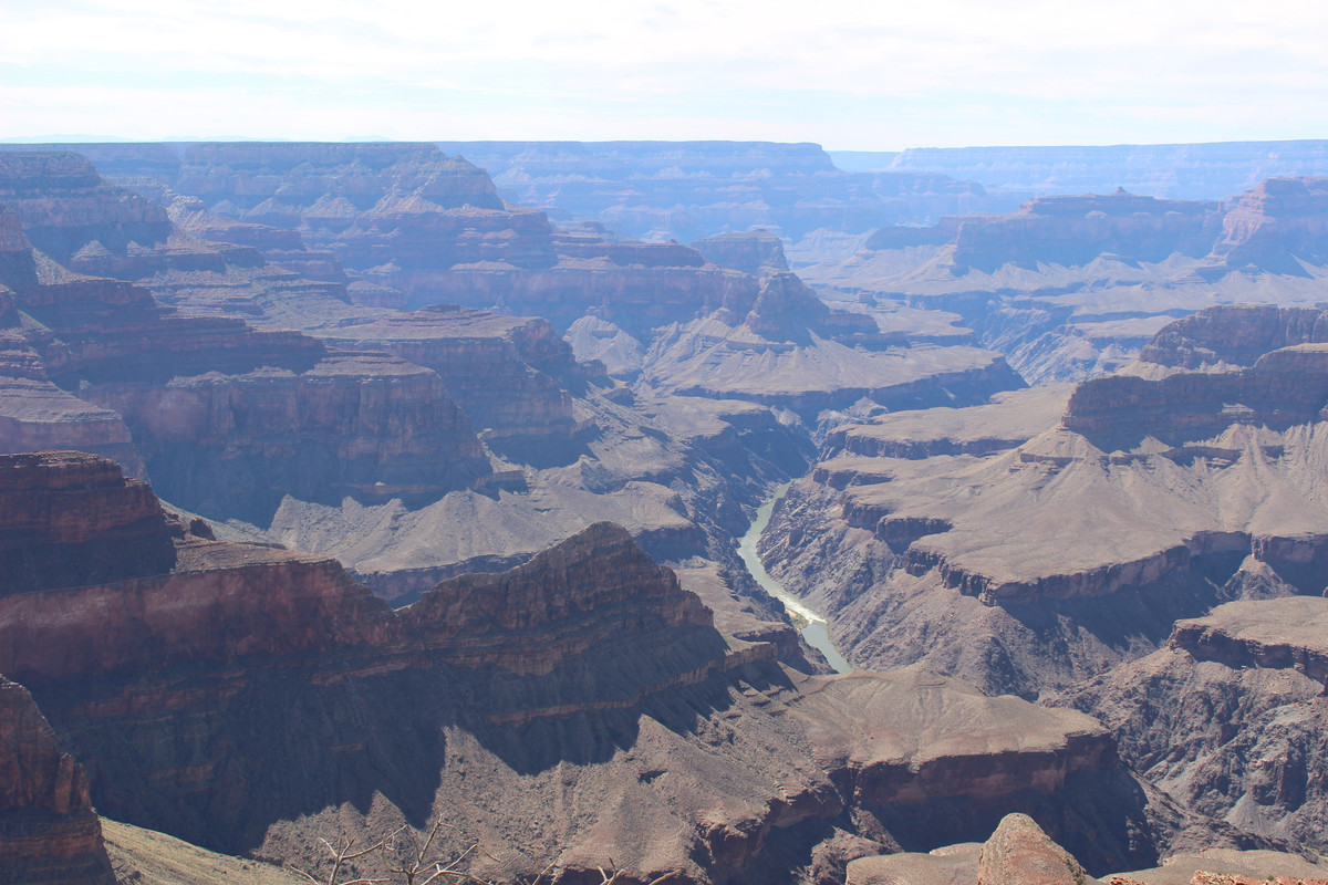 Dia 6. Kingman - Route 66 - Grand Canyon - Costa Oeste + Polinesia Francesa (22)