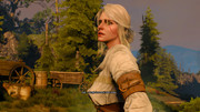 witcher3_2017-10-11_21-04-44-94