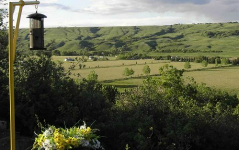 Our_Valley_Spring_SM