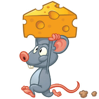 dsc_whered_cheese_go_av3.jpg