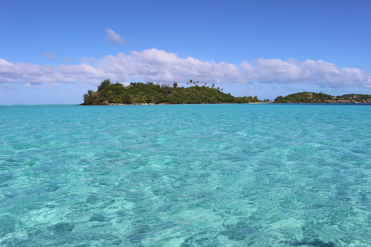Costa Oeste + Polinesia Francesa II - Blogs de Polinesia Francesa - Nadando con tiburones (4)