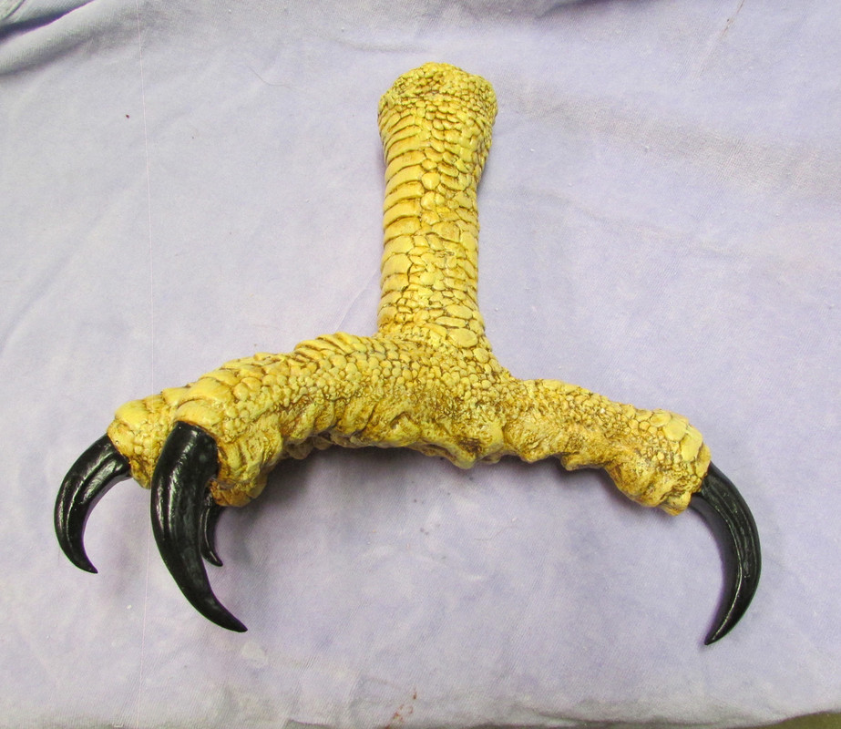 Huge Haast eagle replica foot talon claw raptor dinosaur fossil bird finished
