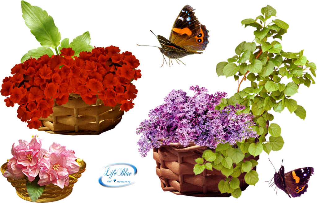 baskets_with_flowers_png_by_lifeblue-d8yggmf