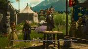 witcher3_2018-02-03_23-47-07-96