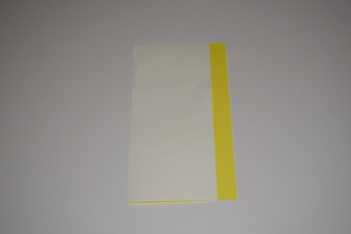 Picture of a Pleat Fold