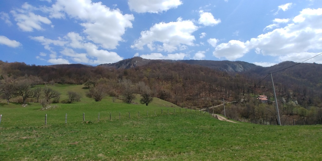 Slika