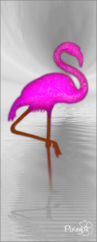 flamingo_final.png