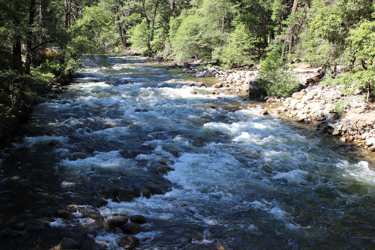 Costa Oeste + Polinesia Francesa - Blogs de USA - Dia 4. Yosemite - Mammoth Lake (9)