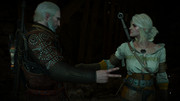 witcher3_2018-01-11_21-48-27-79