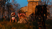 witcher3_2017-10-11_20-33-08-64