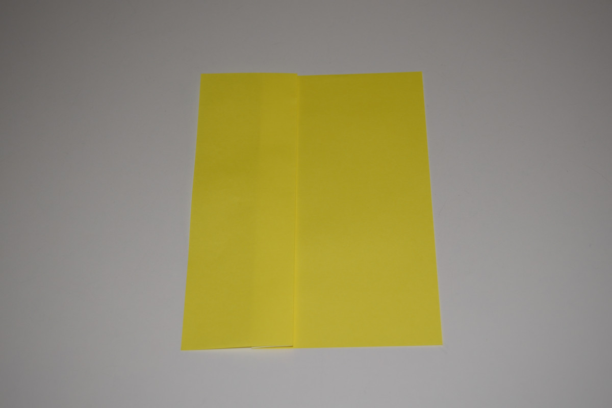 Picture of a Pleat Fold