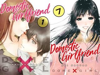Domestic Girlfriend v01-v28 (2017-2021) Complete