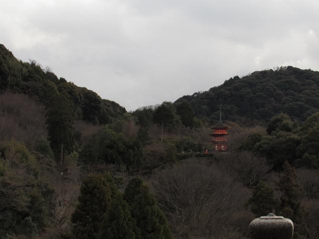 Japón en Invierno. Enero 2017 - Blogs de Japon - Templos del este de Kioto. Higashiyama (23/01/2017) (19)