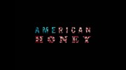 American_Honey_DE_1