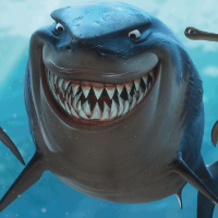 sharks_av.jpg