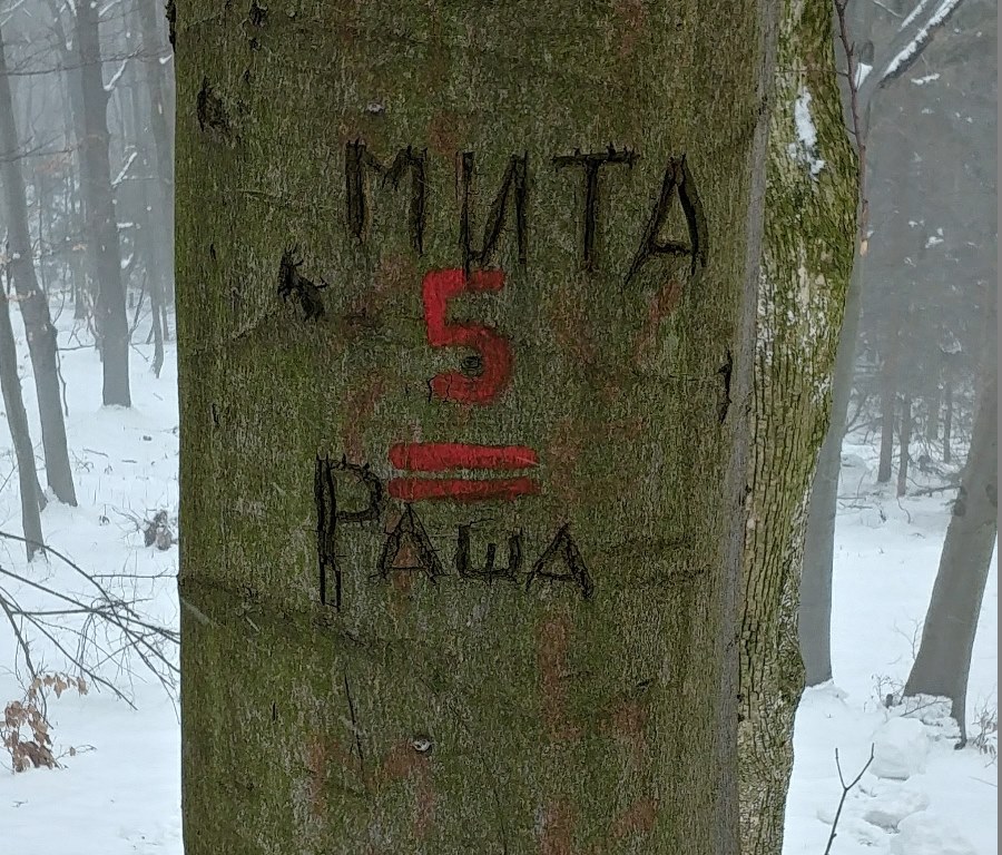 Slika