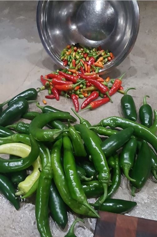 peppers.jpg