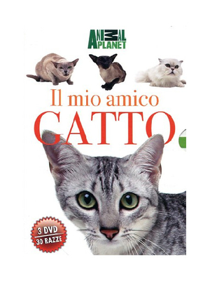 Il mio amico gatto (2011) 2 DVD9 + 1 DVD5 Copia 1:1 - ITA/ENG